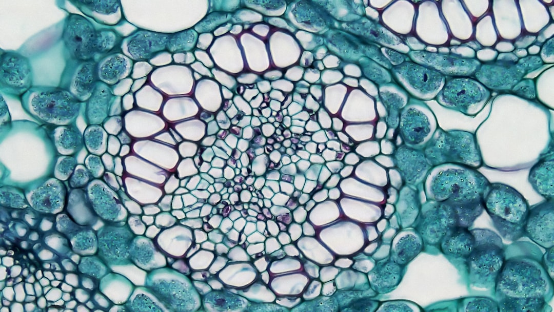 a close up view of a plant cell — Foto por Bioscience Image Library by Fayette Reynolds na Unsplash