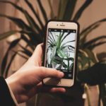 person holding silver iPhone 6 — Foto por Niels Kehl na Unsplash